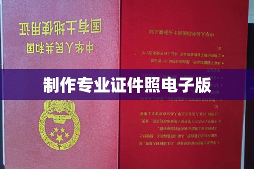 通榆制作专业证件照电子版
