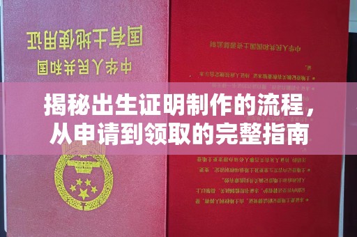 通榆揭秘出生证明制作的流程，从申请到领取的完整指南
